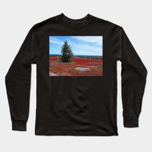 Lone Pine Tree Long Sleeve T-Shirt